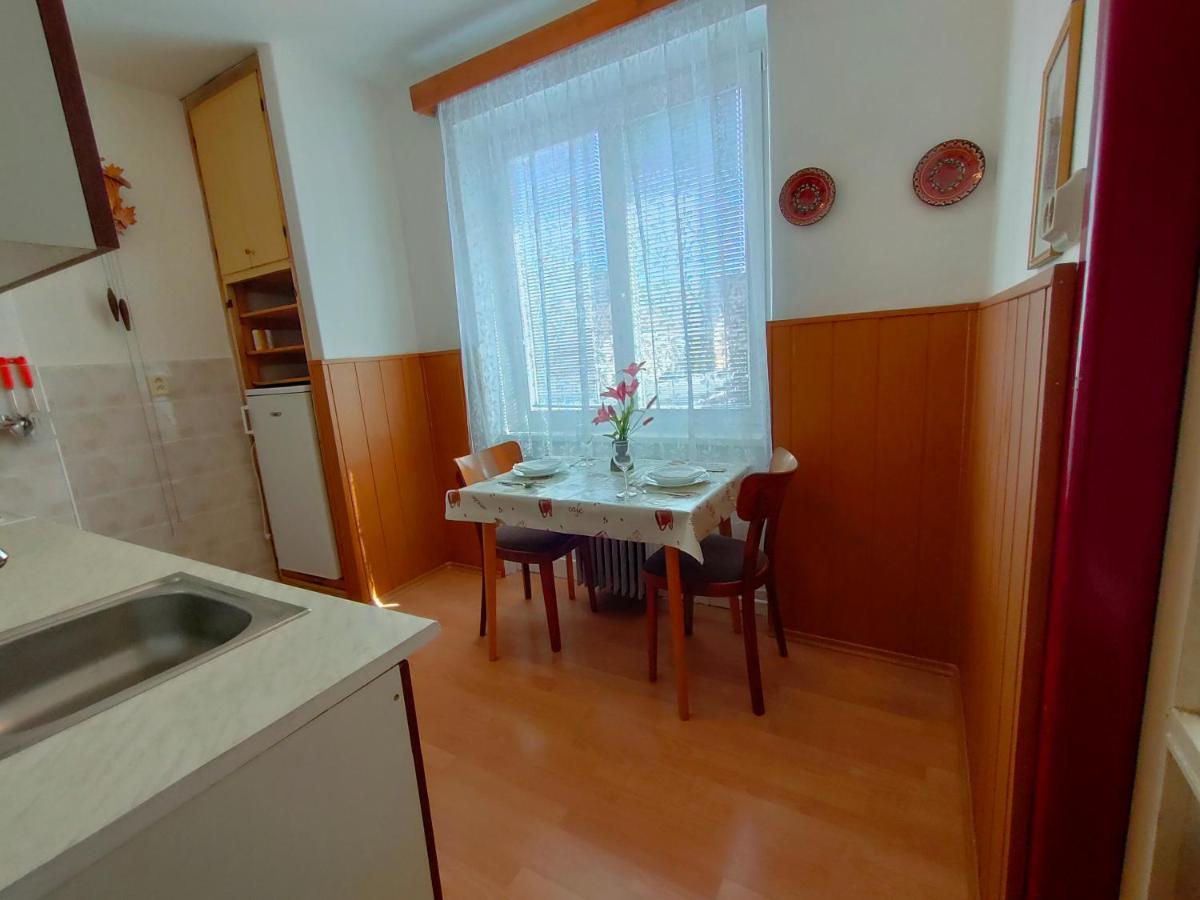 2-Iz. Byt V Tichej Lokalite S Bezplatnym Parkovanim Липтовски-Градок Экстерьер фото